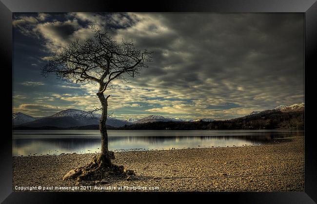 Lone tree Loch Lomond Framed Print by Paul Messenger