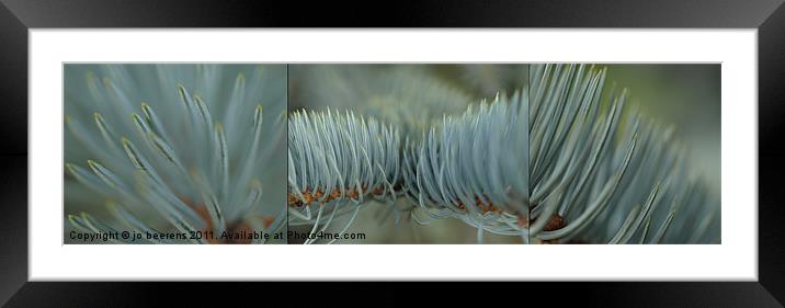 needle work Framed Mounted Print by Jo Beerens