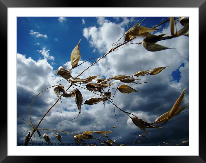 blowin' in the wind Framed Mounted Print by Jo Beerens