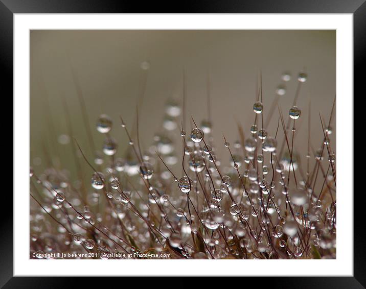 drops Framed Mounted Print by Jo Beerens