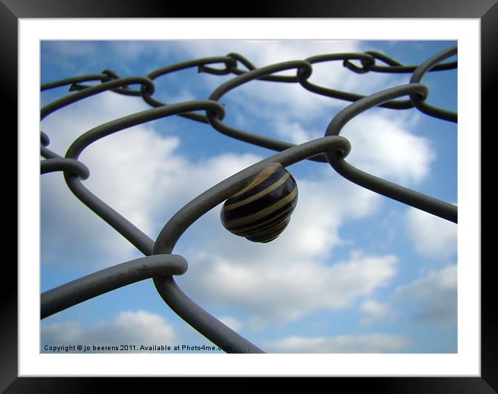 don't fence me in Framed Mounted Print by Jo Beerens