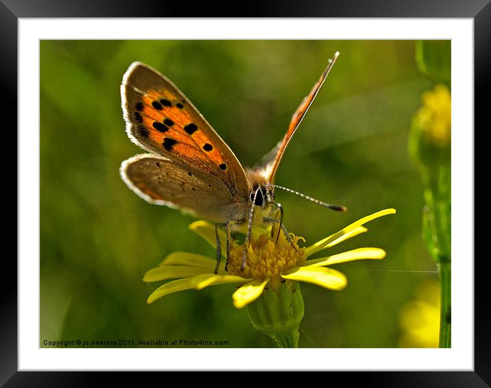 tiny Framed Mounted Print by Jo Beerens