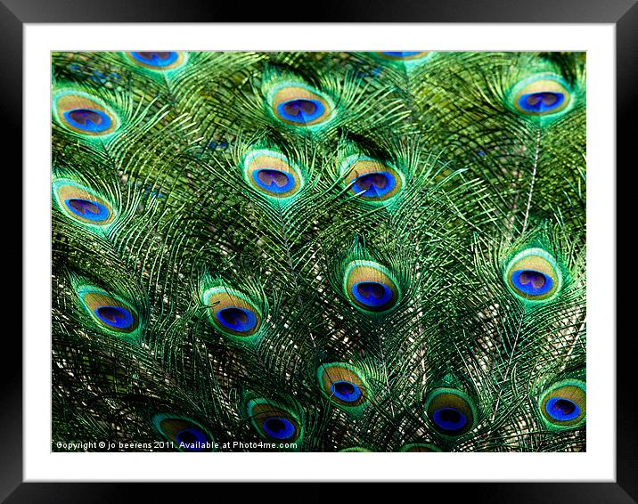 blue eyes Framed Mounted Print by Jo Beerens