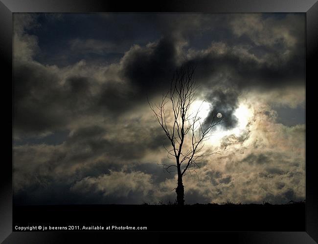 time for a lonely tree photo Framed Print by Jo Beerens