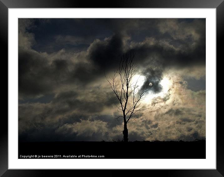 time for a lonely tree photo Framed Mounted Print by Jo Beerens