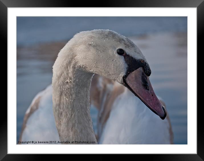 swan neck Framed Mounted Print by Jo Beerens