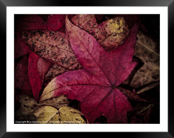 blown by the wind II Framed Mounted Print by Jo Beerens