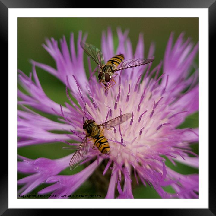 dinner for two Framed Mounted Print by Jo Beerens