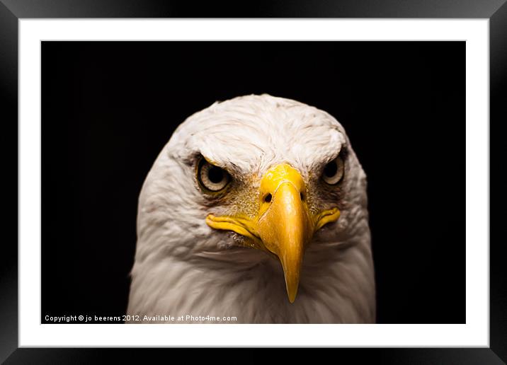 eagle eyed Framed Mounted Print by Jo Beerens