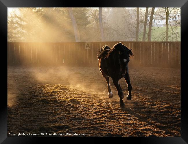 horse stretching its legs Framed Print by Jo Beerens