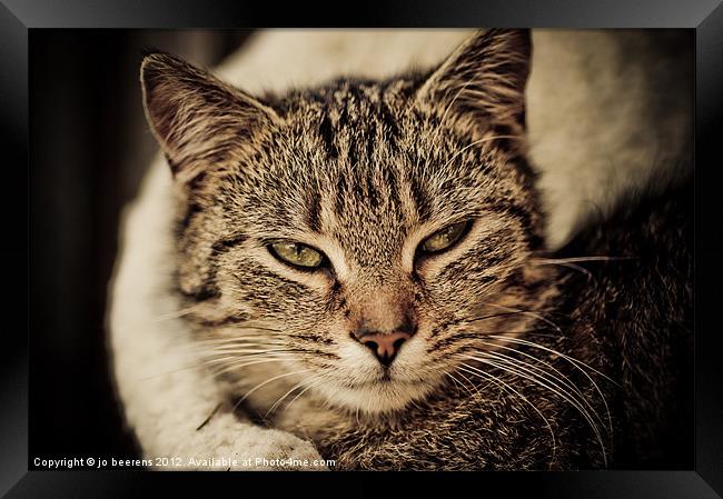 the art of relaxing Framed Print by Jo Beerens