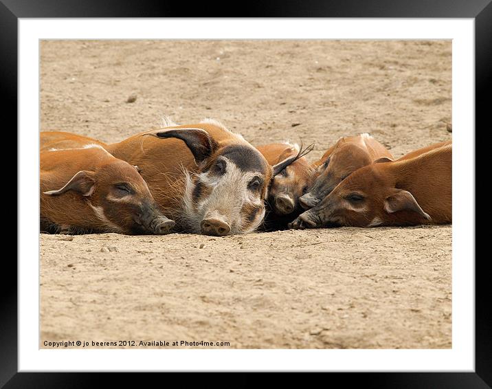 the pig easy Framed Mounted Print by Jo Beerens