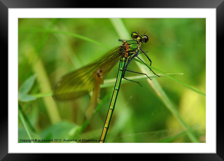 finding a balance Framed Mounted Print by Jo Beerens