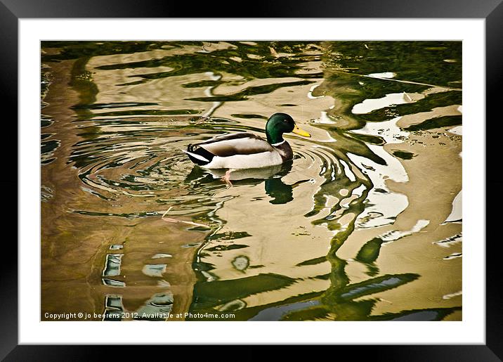 canard a l'abstract Framed Mounted Print by Jo Beerens