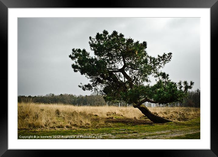 falling in slow motion Framed Mounted Print by Jo Beerens