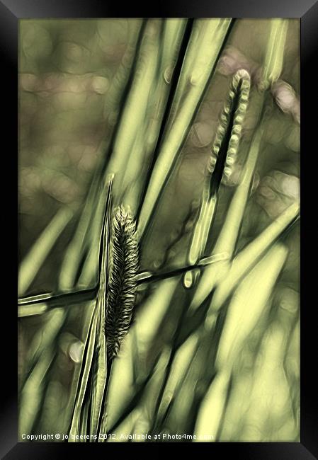g for grass Framed Print by Jo Beerens