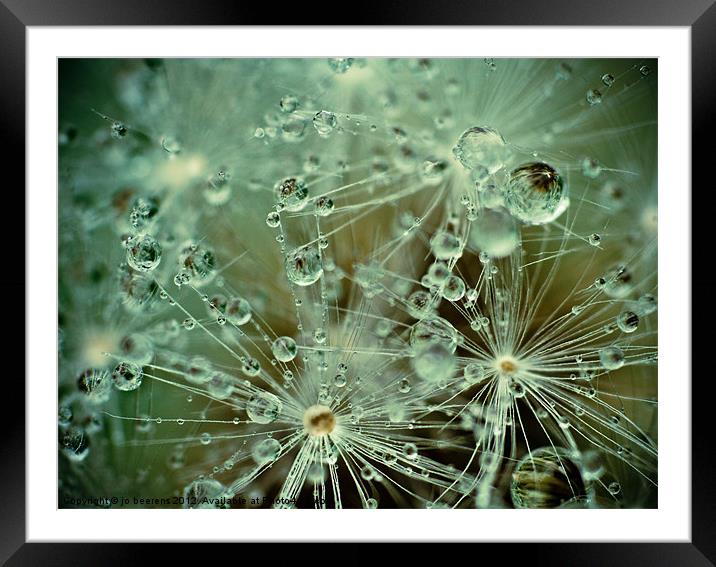 dropland Framed Mounted Print by Jo Beerens