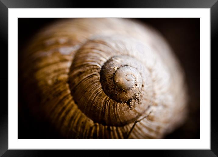 spiraling Framed Mounted Print by Jo Beerens