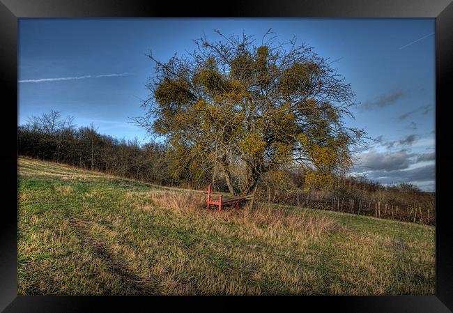 the bench Framed Print by Jo Beerens
