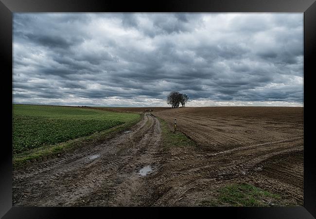 waiting for spring Framed Print by Jo Beerens