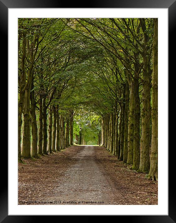 castle driveway Framed Mounted Print by Jo Beerens