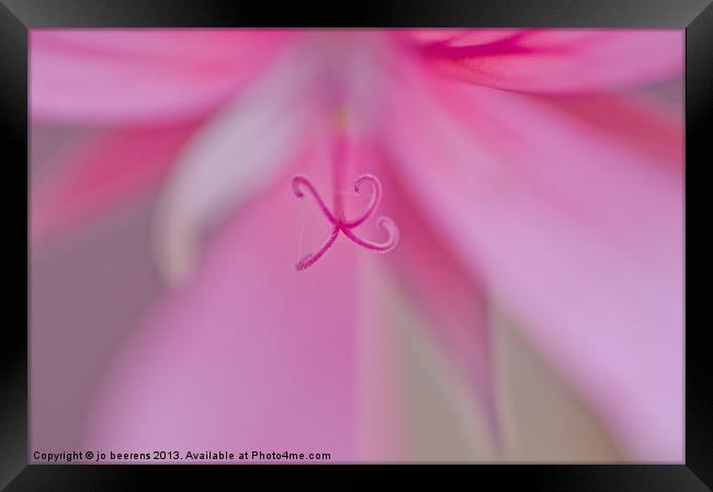 heart of the flower Framed Print by Jo Beerens