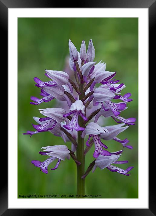 Military orchid Framed Mounted Print by Jo Beerens