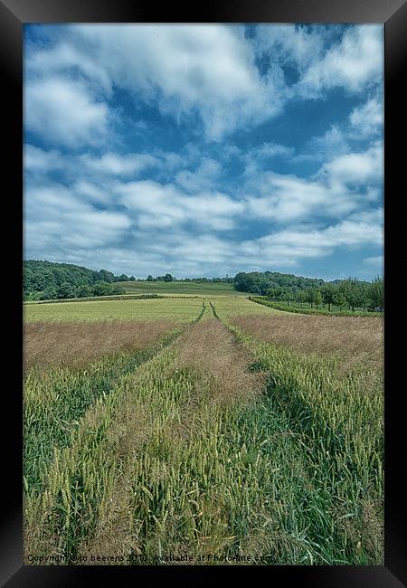 uphill tracks Framed Print by Jo Beerens