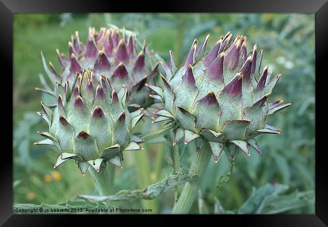 artichoke Framed Print by Jo Beerens