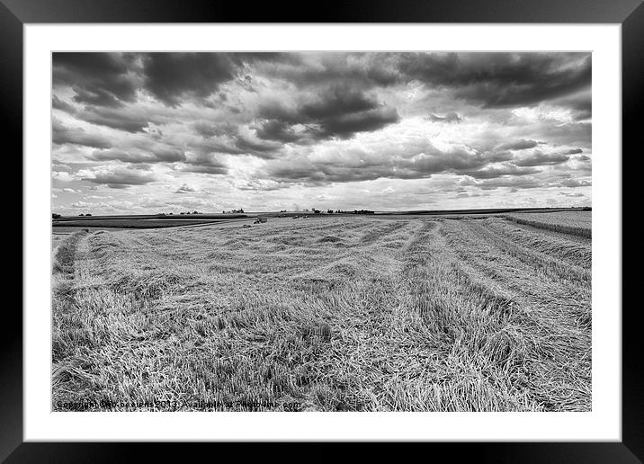 harvest day Framed Mounted Print by Jo Beerens