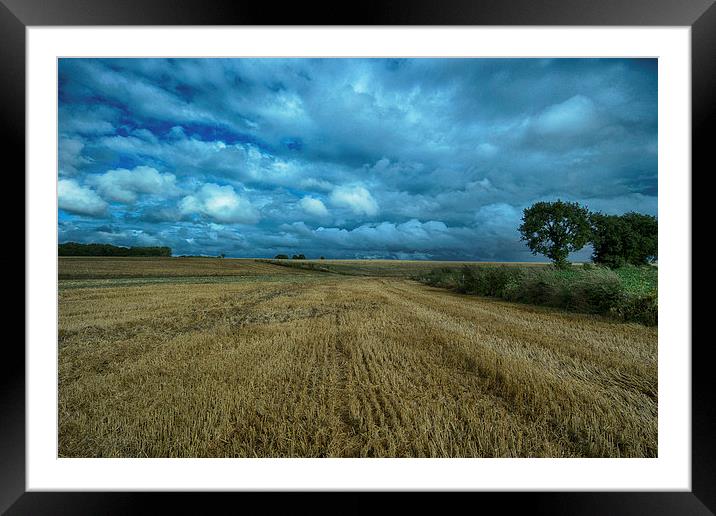 after the harvest Framed Mounted Print by Jo Beerens