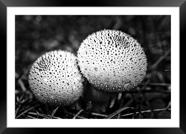 dotted mushrooms Framed Mounted Print by Jo Beerens