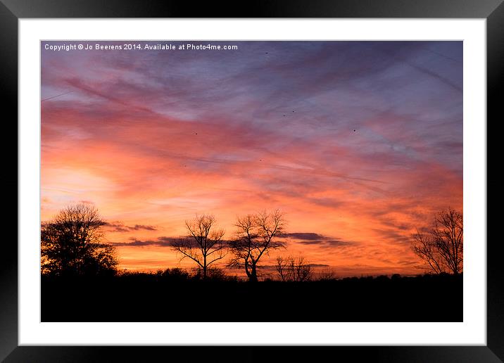 dust bunnies at sundown Framed Mounted Print by Jo Beerens