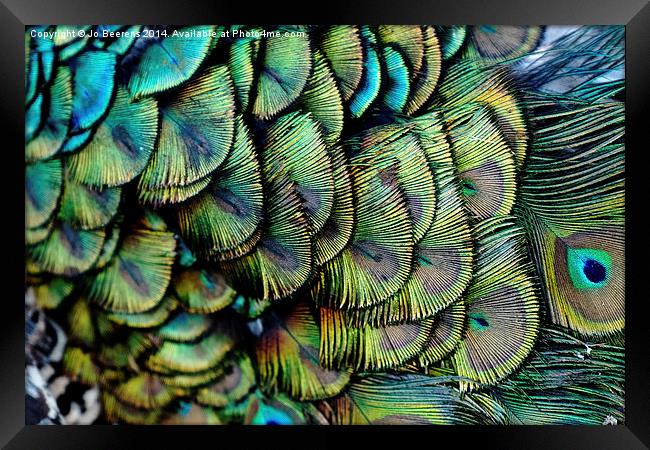 peacock pattern Framed Print by Jo Beerens