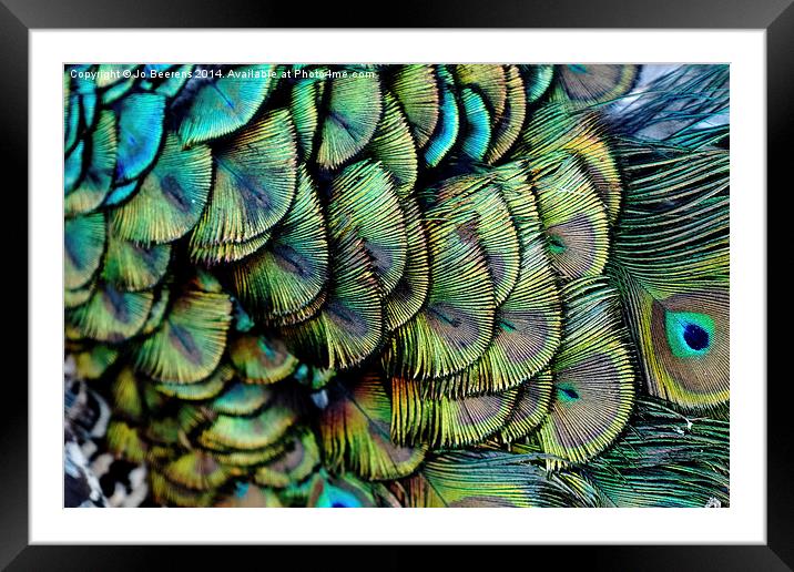 peacock pattern Framed Mounted Print by Jo Beerens