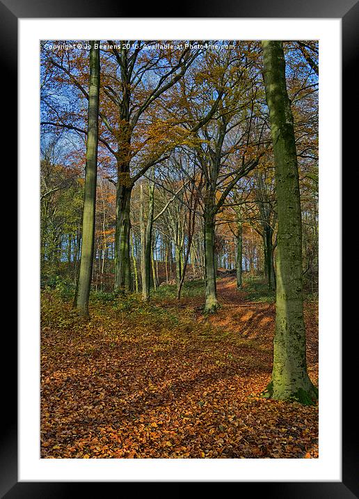 autumn trees Framed Mounted Print by Jo Beerens