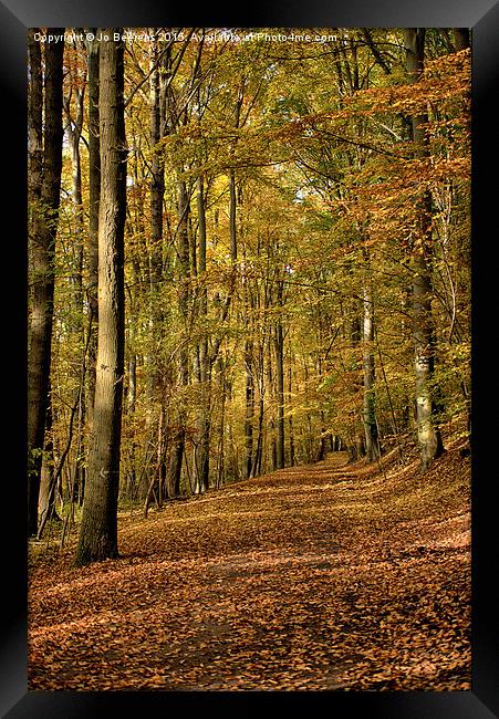 autumn forest Framed Print by Jo Beerens