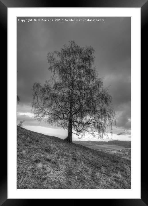 hillside birch tree Framed Mounted Print by Jo Beerens