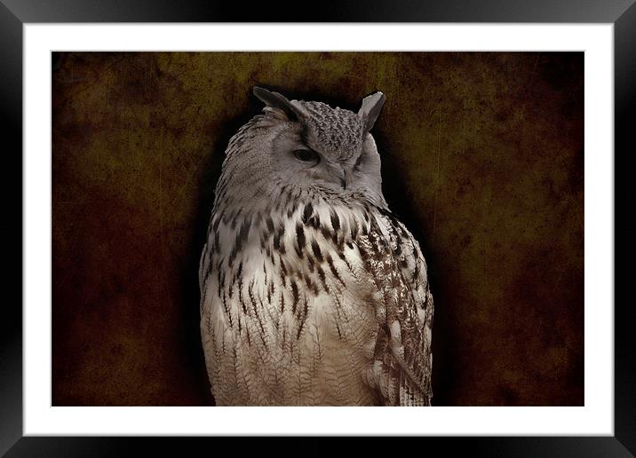eagle owl Framed Mounted Print by Dean Messenger