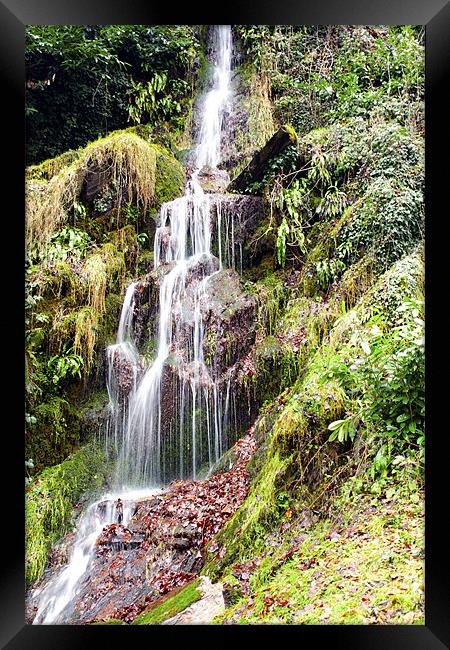 hestercombe Falls Framed Print by Dean Messenger