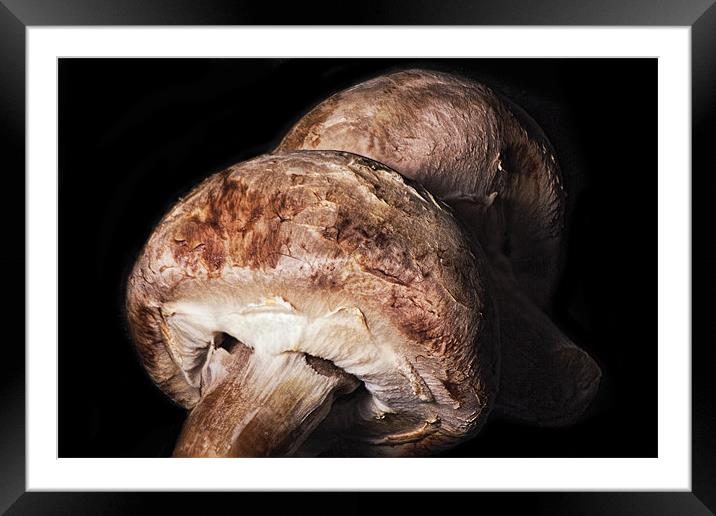 photo stacked mushrooms Framed Mounted Print by Dean Messenger
