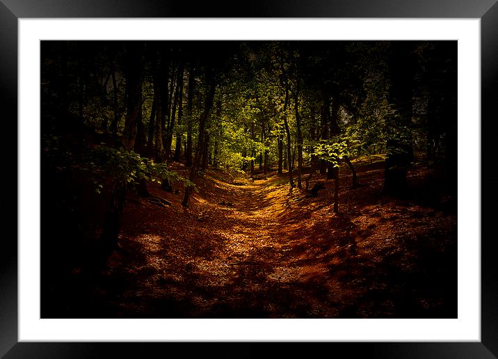  The woods are Dark Framed Mounted Print by Dean Messenger
