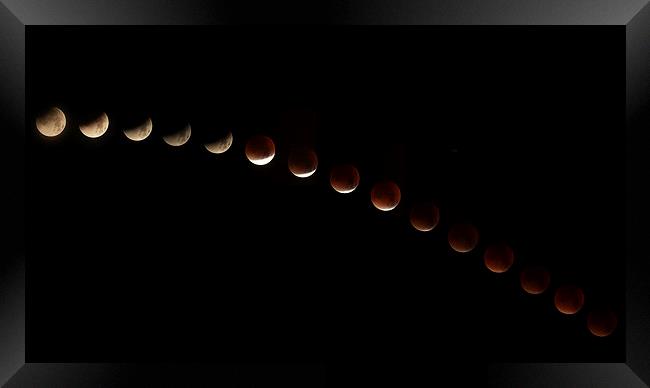  Blood Moon Eclipse Framed Print by Dean Messenger