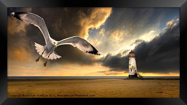 soaring inshore Framed Print by meirion matthias