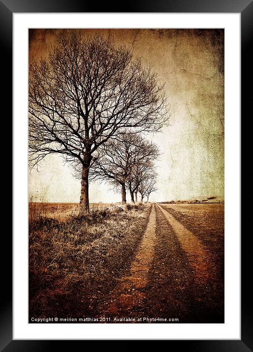 tree lined track in winter Framed Mounted Print by meirion matthias