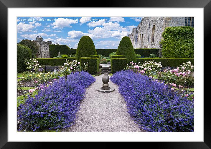 sundial with lavender Framed Mounted Print by meirion matthias