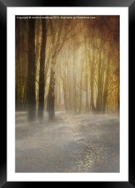 spooky misty woodland Framed Mounted Print by meirion matthias
