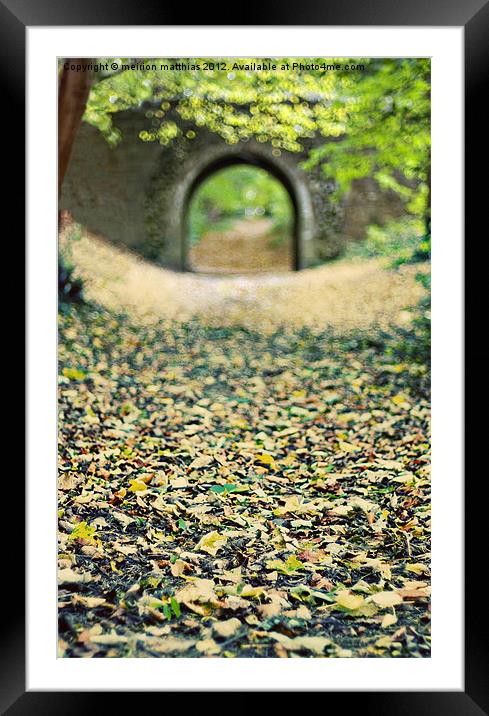 a rural underpass Framed Mounted Print by meirion matthias