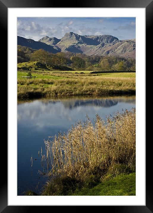 langdale pikes from elterwater Framed Mounted Print by meirion matthias