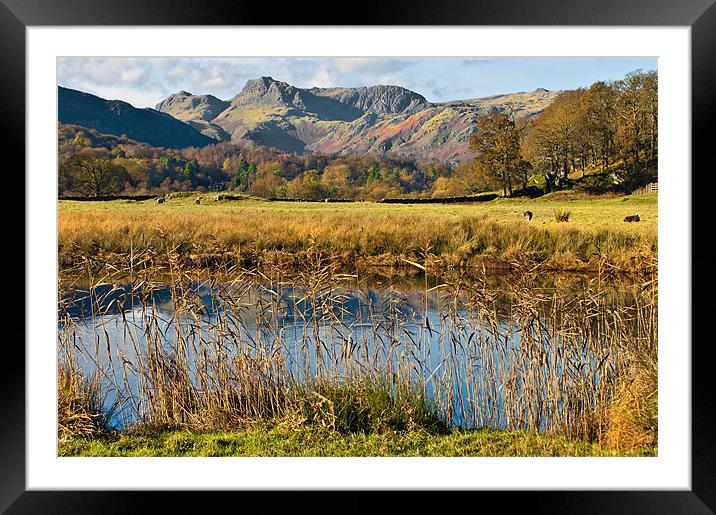 Langdale Pikes landscape Framed Mounted Print by meirion matthias